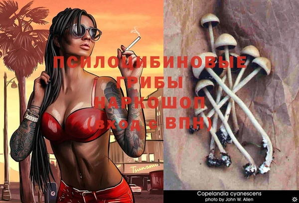 MESCALINE Алзамай