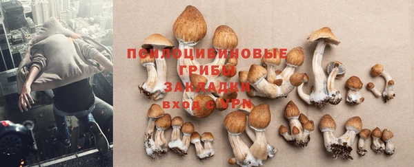 MESCALINE Алзамай
