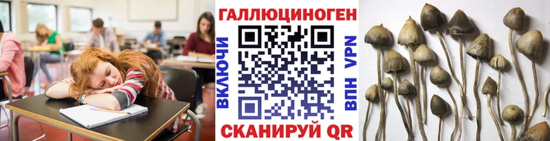 нарко площадка телеграм  Калязин  Псилоцибиновые грибы MAGIC MUSHROOMS 